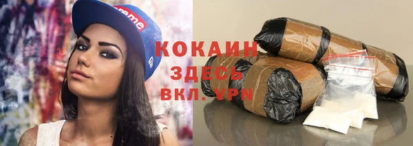 PSILOCYBIN Белокуриха