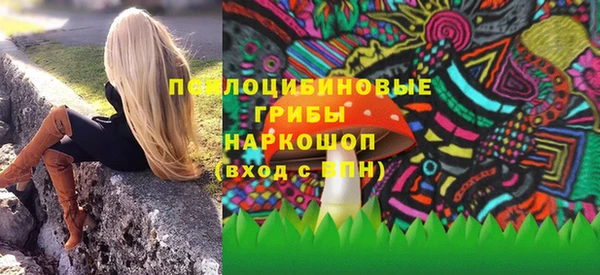 PSILOCYBIN Белокуриха