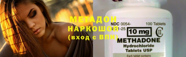 PSILOCYBIN Белокуриха