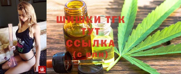 PSILOCYBIN Белокуриха